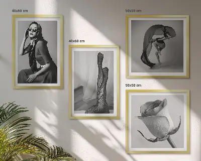 Stijlvolle portretten van elegante vrouwen meerluik in lijst