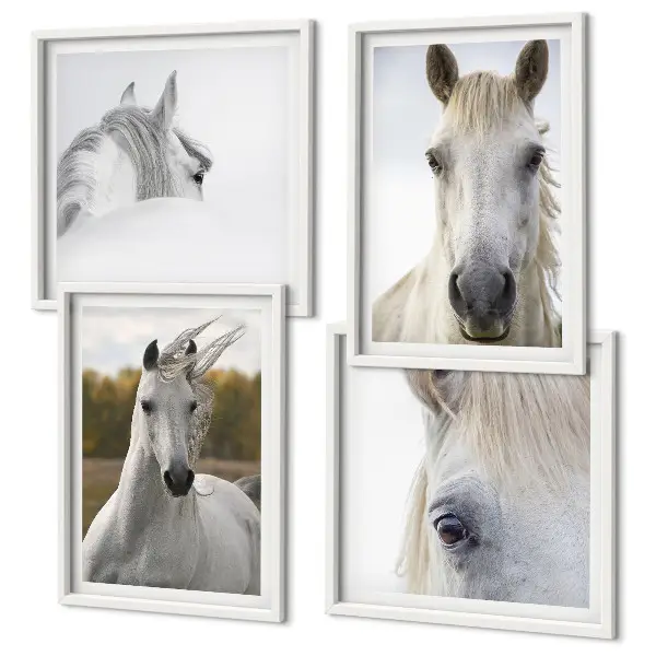 Set van posters met lijst Witte paarden