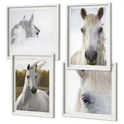 Set van posters met lijst Witte paarden