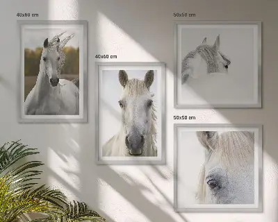 Set van posters met lijst Witte paarden