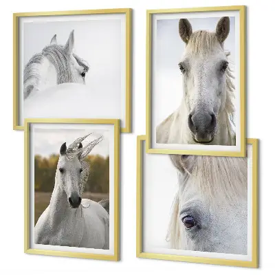 Set van posters met lijst Witte paarden