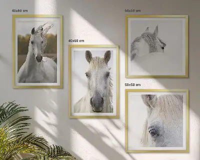 Set van posters met lijst Witte paarden