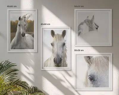 Set van posters met lijst Witte paarden