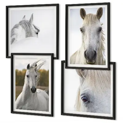 Set van posters met lijst Witte paarden