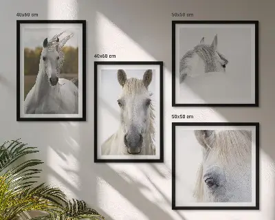 Set van posters met lijst Witte paarden