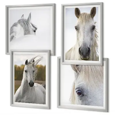 Set van posters met lijst Witte paarden