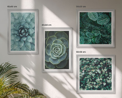 Meerluik in lijst Vetplanten in groene en turquoise tinten