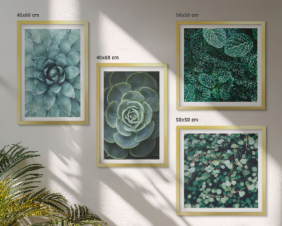 Meerluik in lijst Vetplanten in groene en turquoise tinten