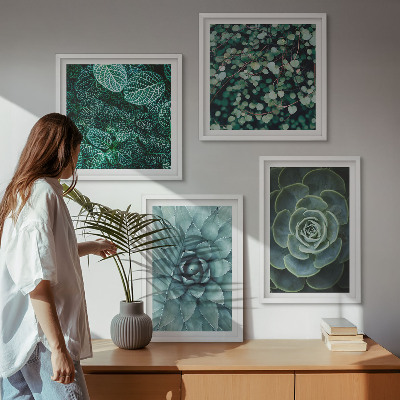 Meerluik in lijst Vetplanten in groene en turquoise tinten