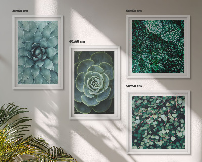Meerluik in lijst Vetplanten in groene en turquoise tinten