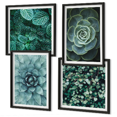 Meerluik in lijst Vetplanten in groene en turquoise tinten