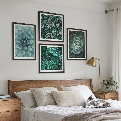 Meerluik in lijst Vetplanten in groene en turquoise tinten