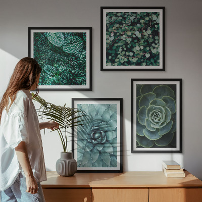 Meerluik in lijst Vetplanten in groene en turquoise tinten