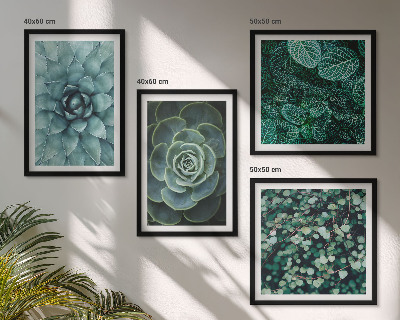 Meerluik in lijst Vetplanten in groene en turquoise tinten