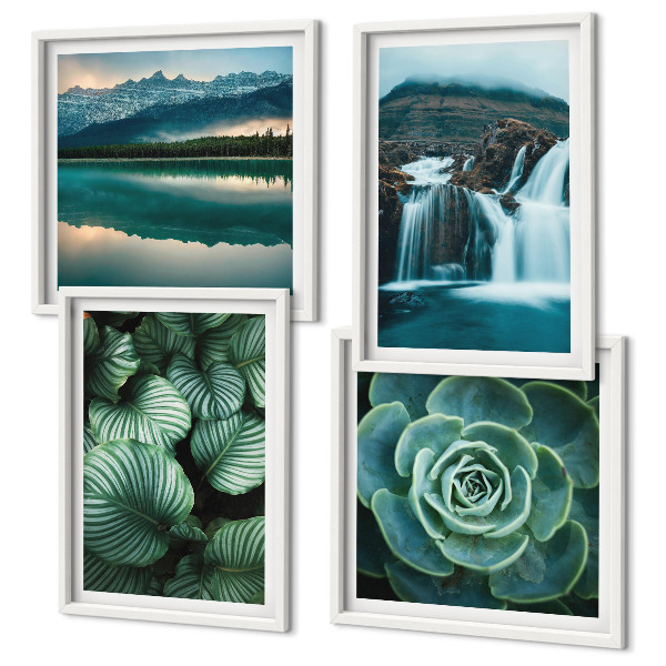 Set van posters met lijst Close-ups van bladeren van vetplanten