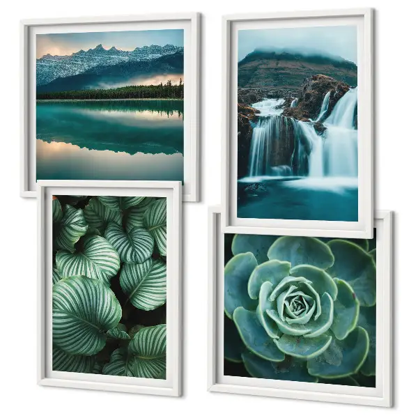 Close-ups van bladeren van vetplanten set van posters met lijst