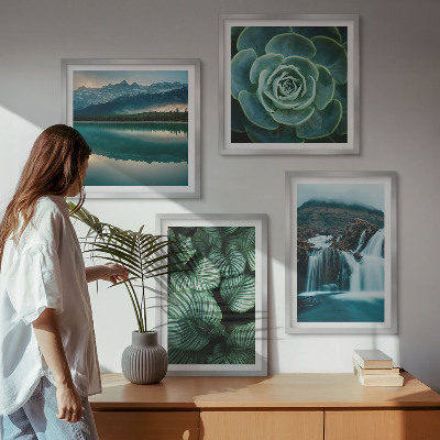Set van posters met lijst Close-ups van bladeren van vetplanten