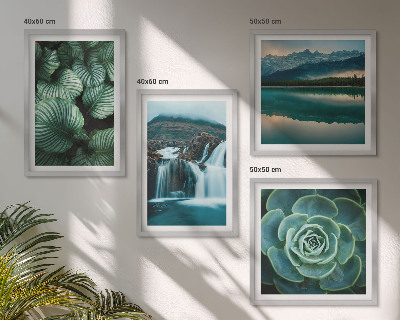 Set van posters met lijst Close-ups van bladeren van vetplanten