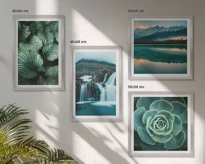 Close-ups van bladeren van vetplanten set van posters met lijst