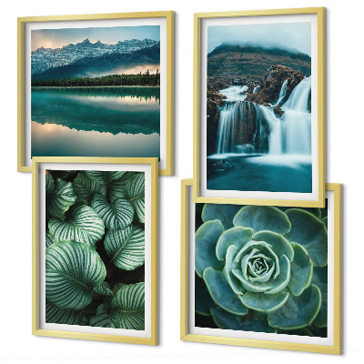 Set van posters met lijst Close-ups van bladeren van vetplanten