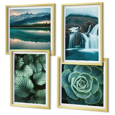 Close-ups van bladeren van vetplanten set van posters met lijst
