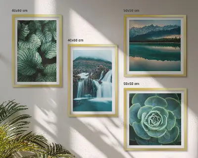 Close-ups van bladeren van vetplanten set van posters met lijst