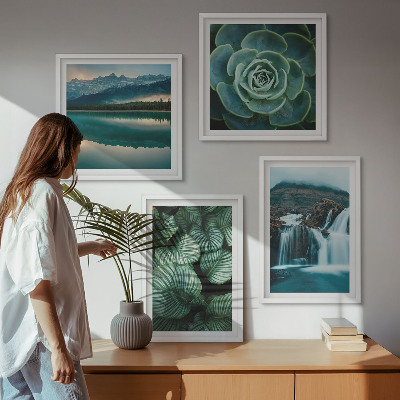 Set van posters met lijst Close-ups van bladeren van vetplanten