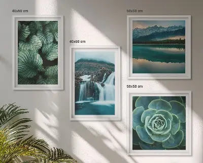 Close-ups van bladeren van vetplanten set van posters met lijst