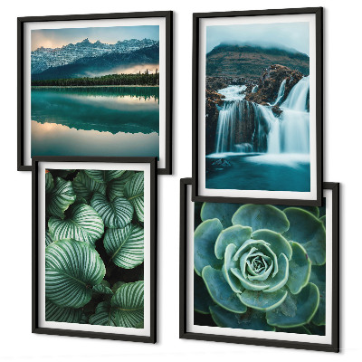 Set van posters met lijst Close-ups van bladeren van vetplanten
