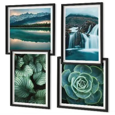 Close-ups van bladeren van vetplanten set van posters met lijst