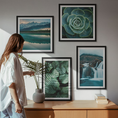 Set van posters met lijst Close-ups van bladeren van vetplanten