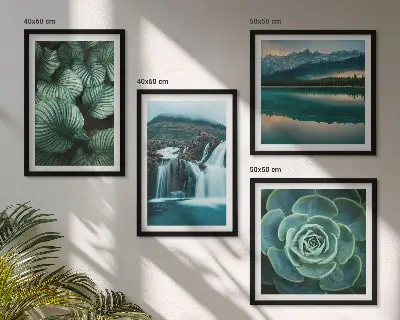 Close-ups van bladeren van vetplanten set van posters met lijst