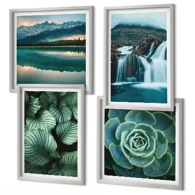 Close-ups van bladeren van vetplanten set van posters met lijst