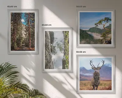 Set van posters met lijst natuurlandschap met bos bergen weg en herten