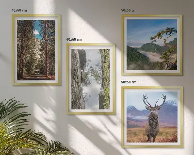 Set van posters met lijst natuurlandschap met bos bergen weg en herten