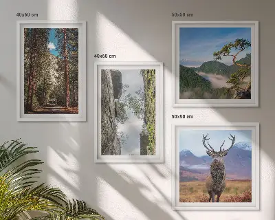 Set van posters met lijst natuurlandschap met bos bergen weg en herten