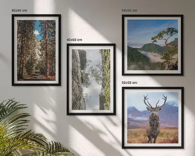 Set van posters met lijst natuurlandschap met bos bergen weg en herten