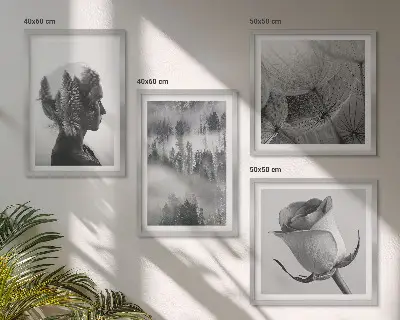 Portret van een vrouw in de mist van het bos meerluik in lijst