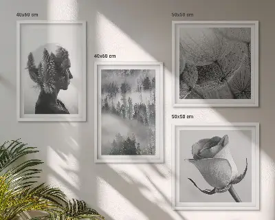 Portret van een vrouw in de mist van het bos meerluik in lijst