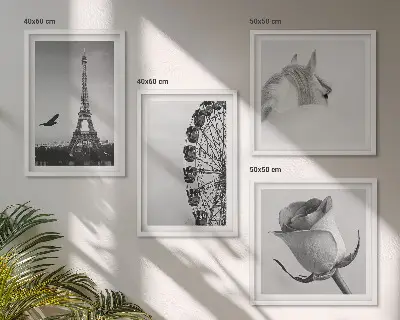 Set van posters met lijst met roze Eiffeltoren, paard en reuzenrad in zwart-wit