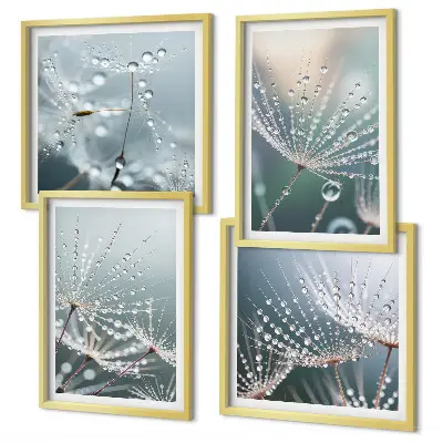 Waterdruppels op paardenbloemscheuten set van posters met lijst