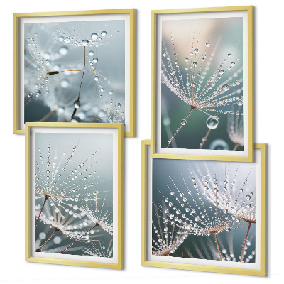 Set van posters met lijst Waterdruppels op paardenbloemscheuten