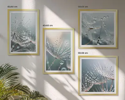 Waterdruppels op paardenbloemscheuten set van posters met lijst