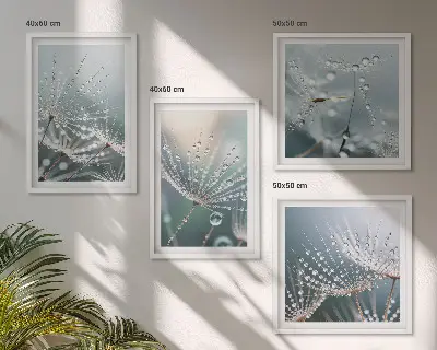Waterdruppels op paardenbloemscheuten set van posters met lijst
