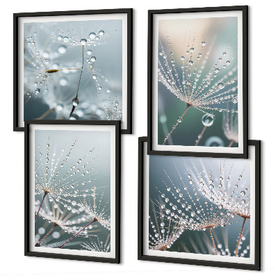 Set van posters met lijst Waterdruppels op paardenbloemscheuten