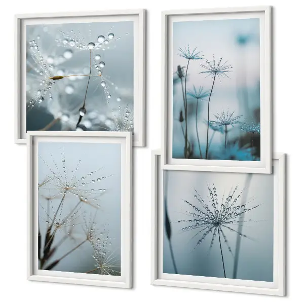 Paardenbloem met waterdruppels set van posters met lijst