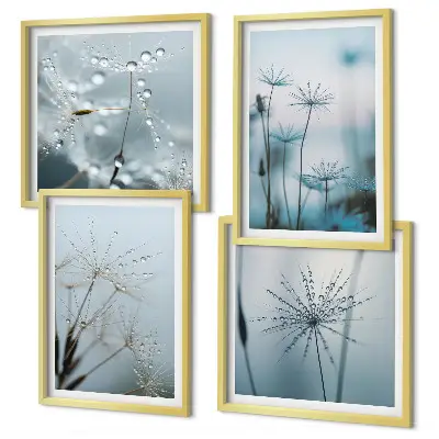 Paardenbloem met waterdruppels set van posters met lijst