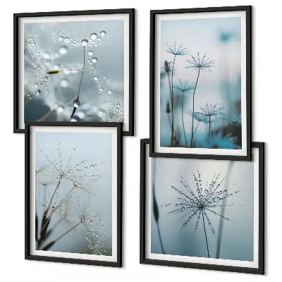 Paardenbloem met waterdruppels set van posters met lijst