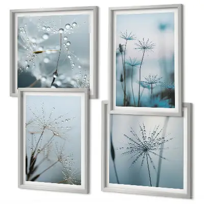 Paardenbloem met waterdruppels set van posters met lijst
