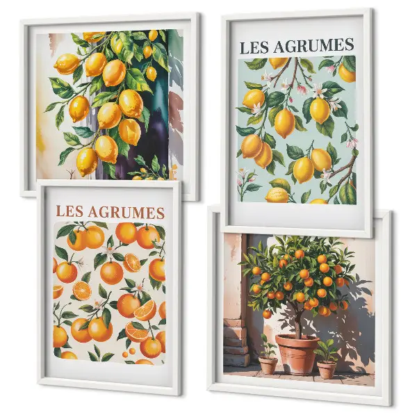 Fruitige citruspatronen meerluik in lijst